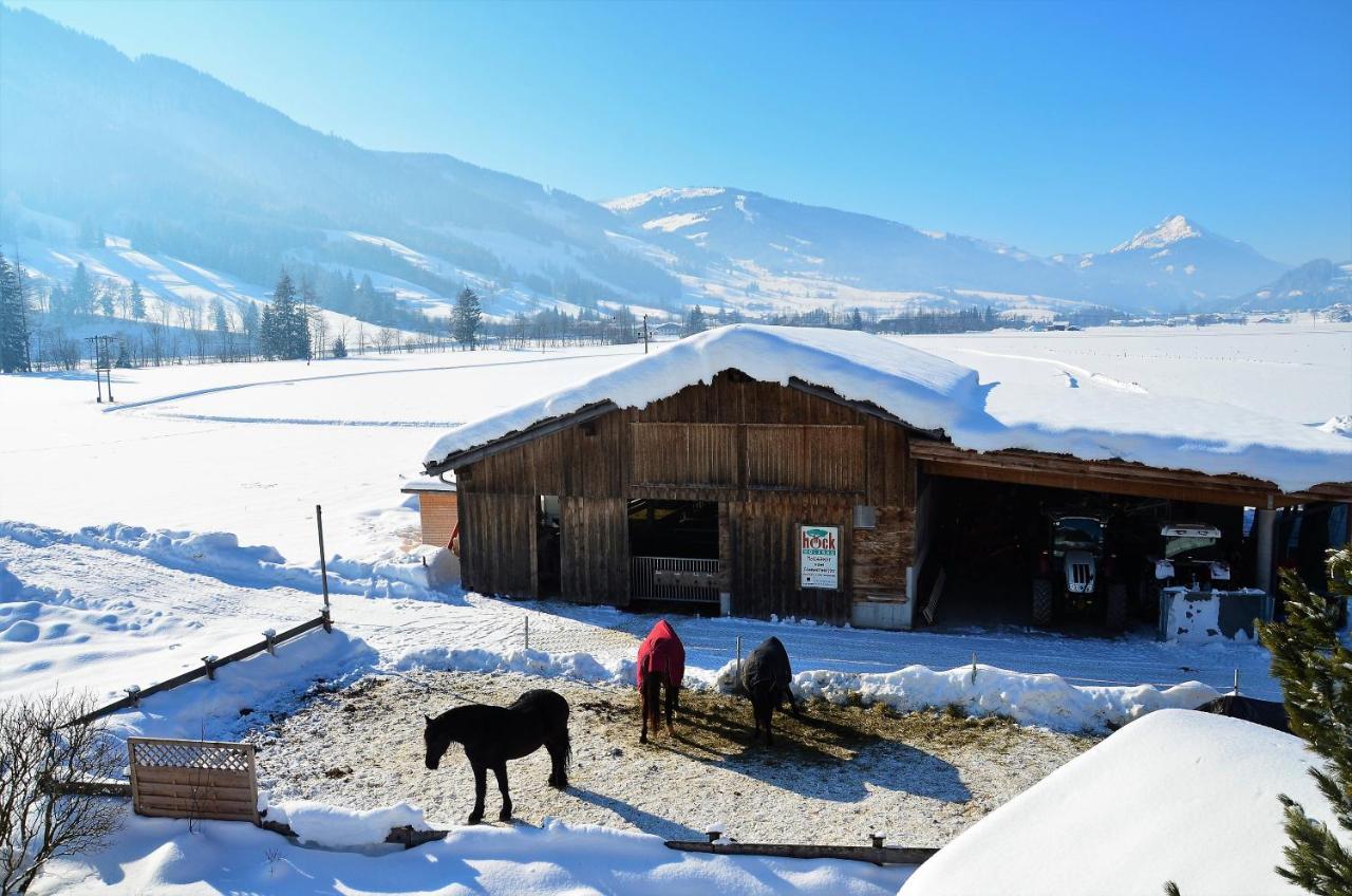 Kleintoedlinggut Villa Leogang Luaran gambar
