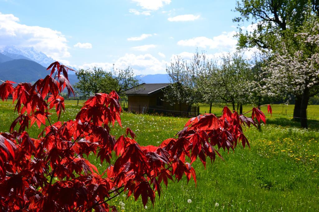 Kleintoedlinggut Villa Leogang Luaran gambar